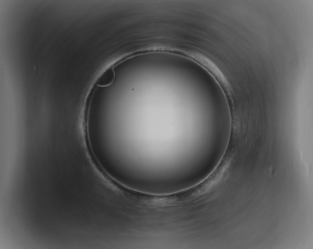 X0000102780847200808181148