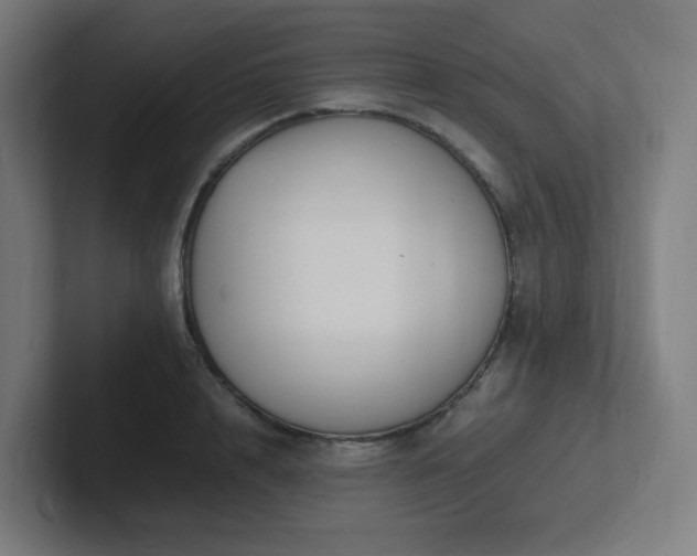 X0000102780848200808181148