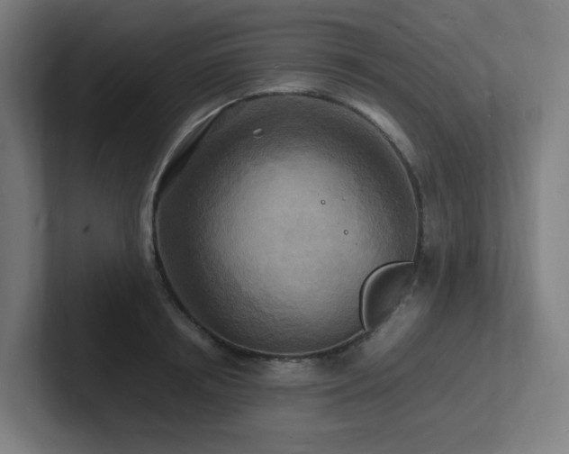 X0000102780850200808181148