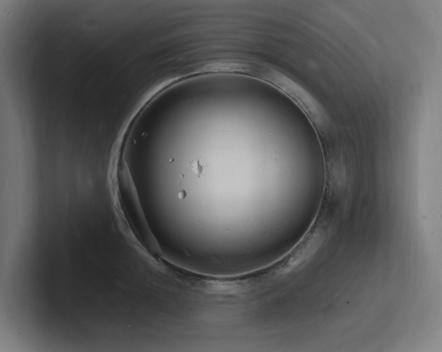 X0000102780852200808181148