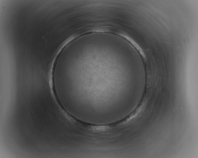 X0000102780853200808181148