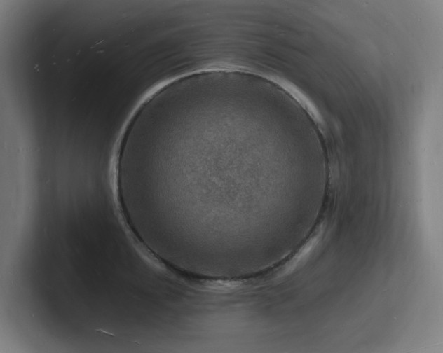 X0000102780854200808181148