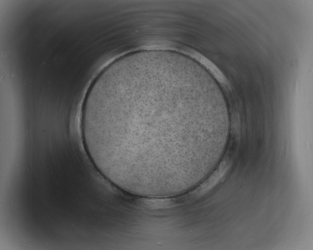 X0000102780856200808181148