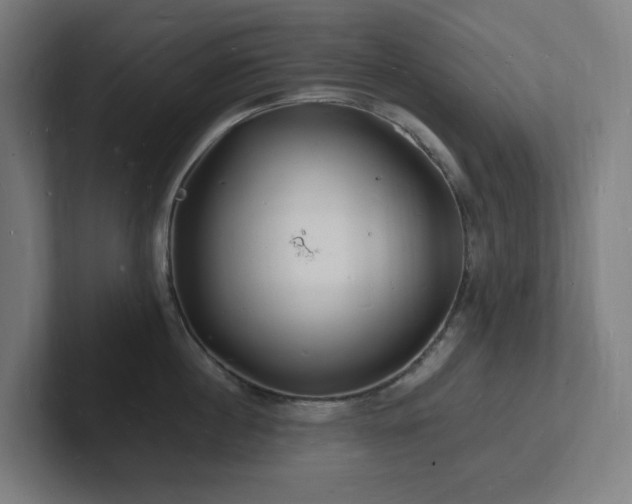 X0000102780860200808181148