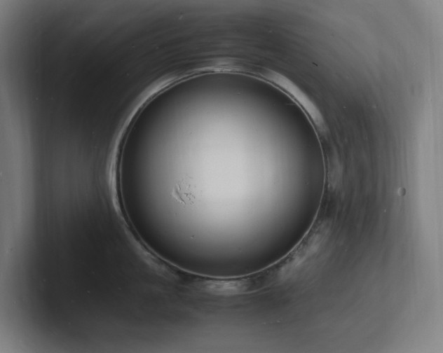 X0000102780861200808181148