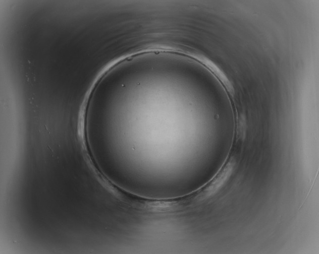 X0000102780862200808181148