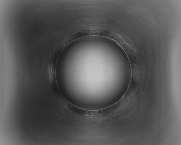 X0000102780866200808181148