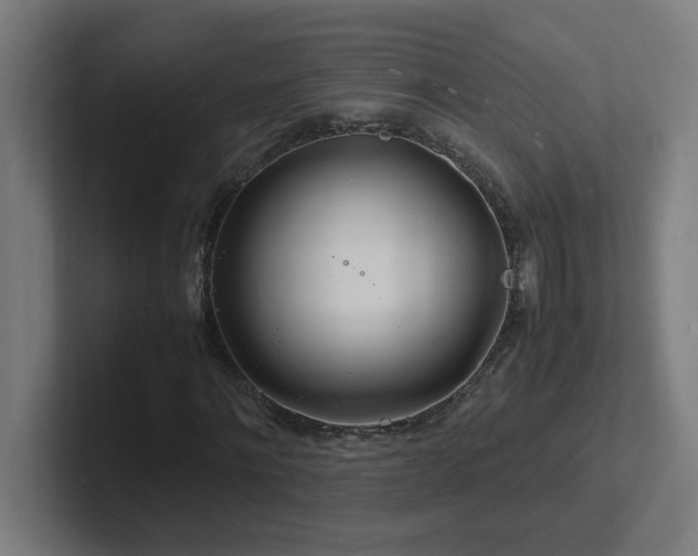 X0000102780868200808181148