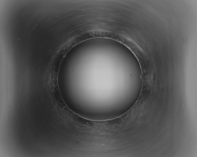 X0000102780870200808181148