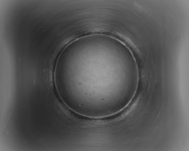 X0000102780881200808181147