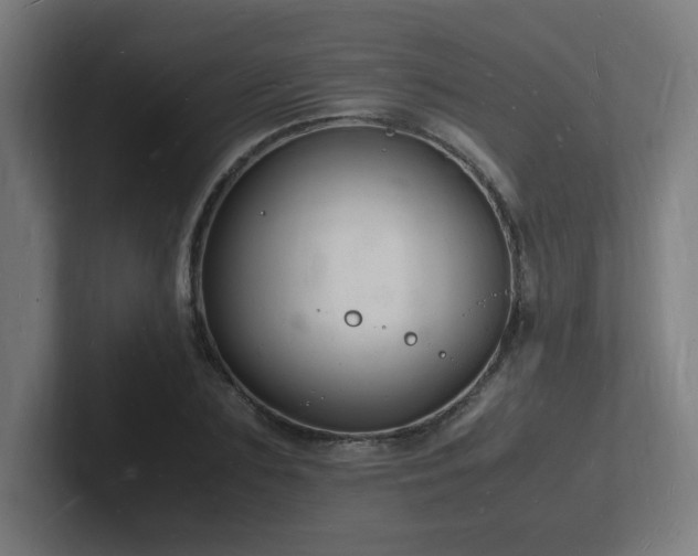 X0000102780883200808181147