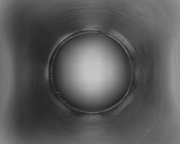 X0000102780884200808181147