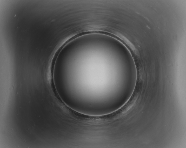 X0000102780885200808181147