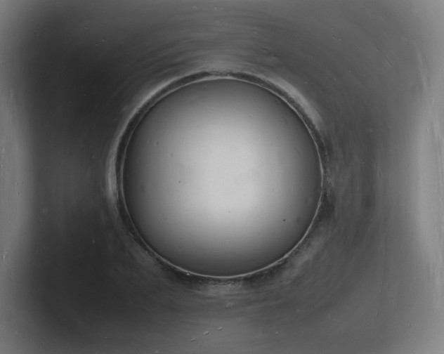 X0000102780887200808181147