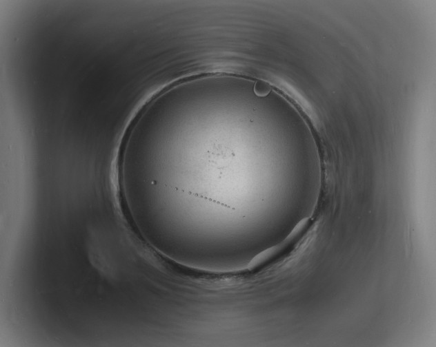 X0000102780891200808181147