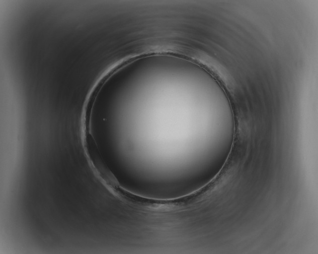 X0000102780894200808181147