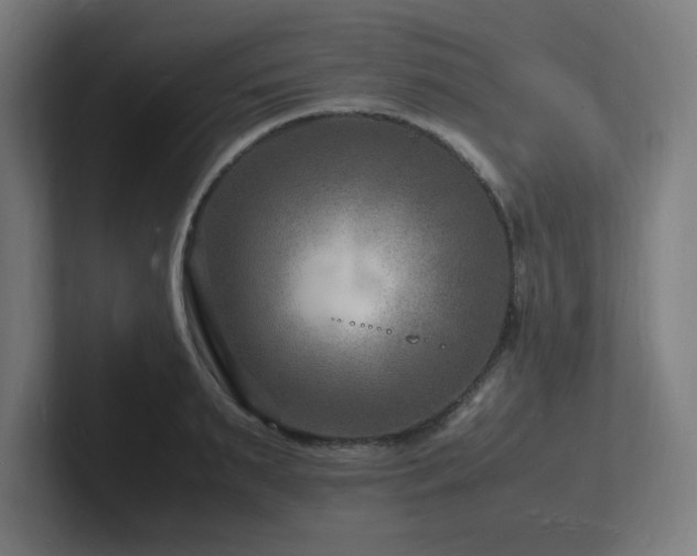 X0000102780895200808181147