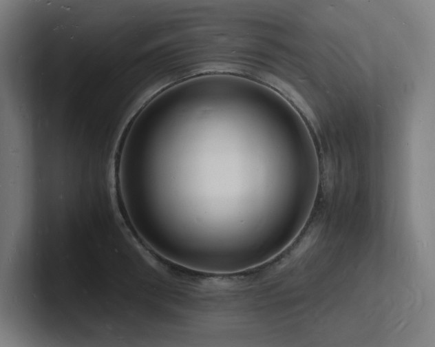 X0000102780898200808181147