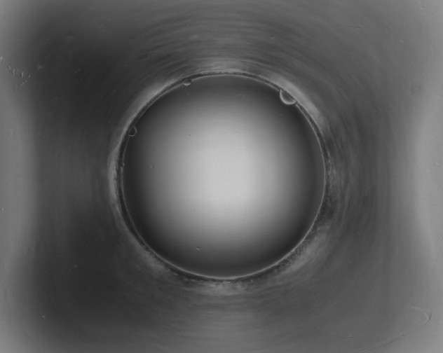 X0000102780901200808181147