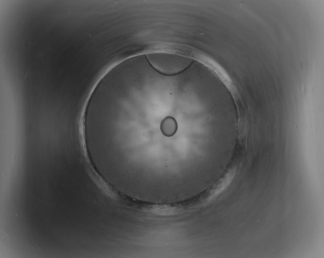 X0000102780907200808181147