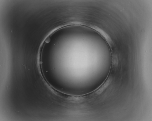 X0000102780910200808181147