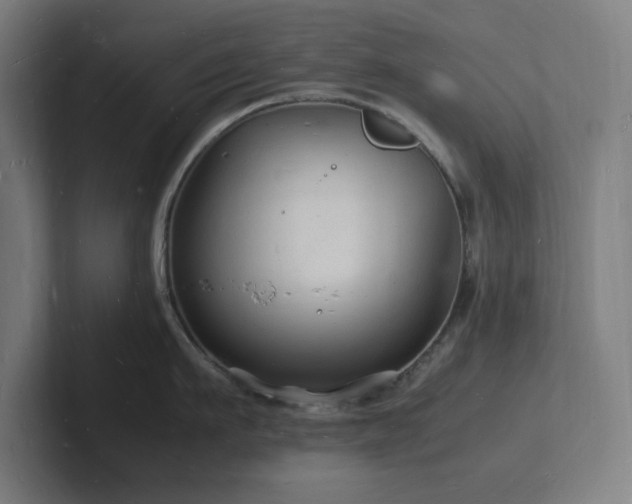 X0000102780911200808181147