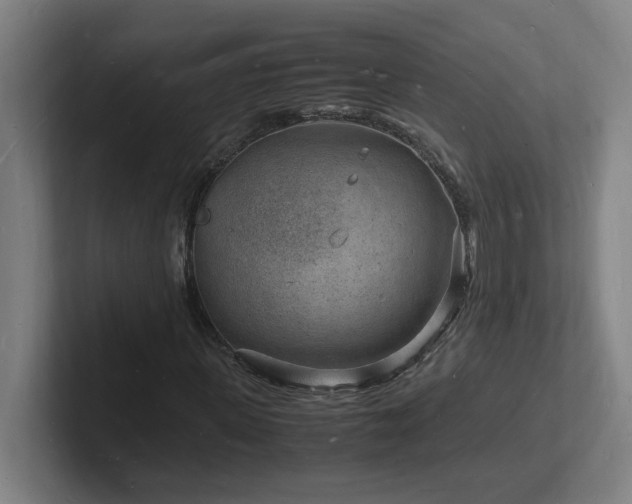 X0000102780915200808181146