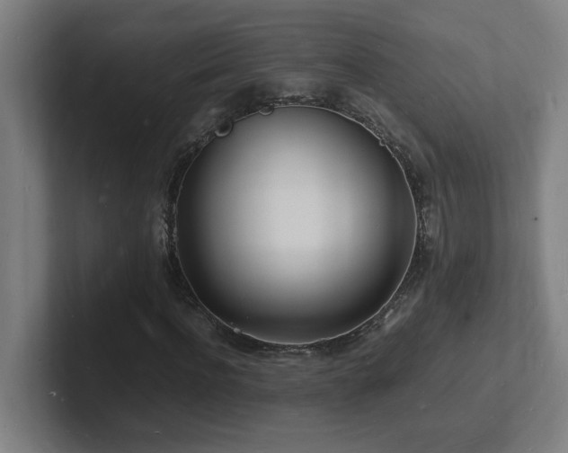 X0000102780916200808181146