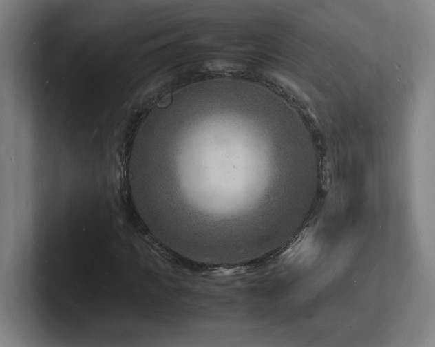 X0000102780917200808181146