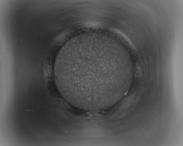 X0000102780918200808181146