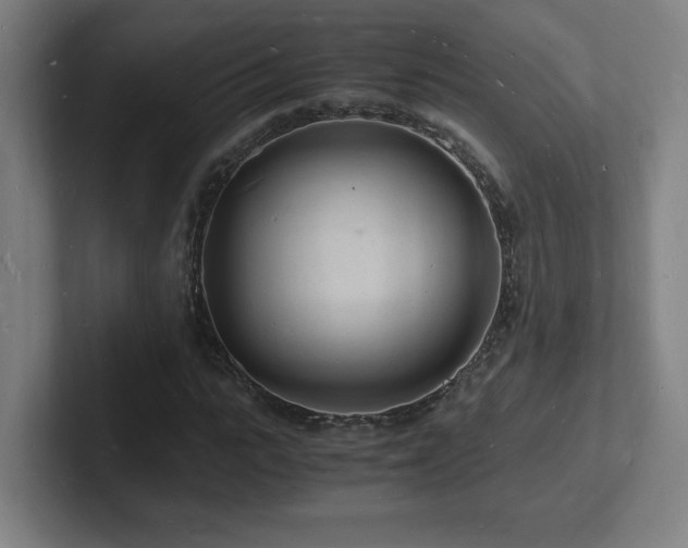 X0000102780919200808181146