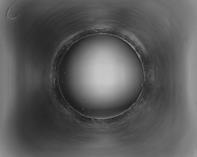 X0000102780920200808181146