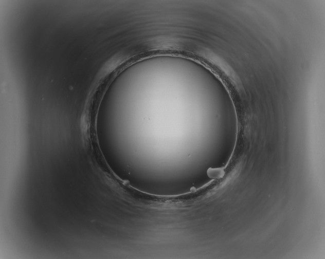 X0000102780922200808181146