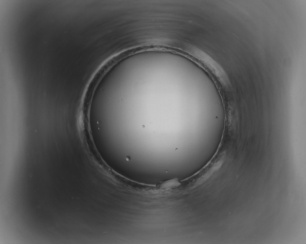 X0000102780924200808181146