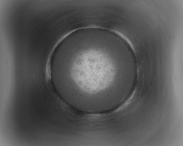 X0000102780925200808181146