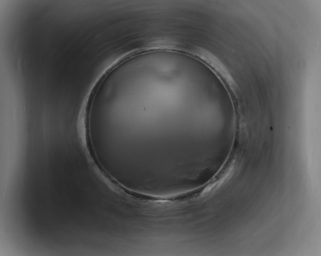 X0000102780941200808181147