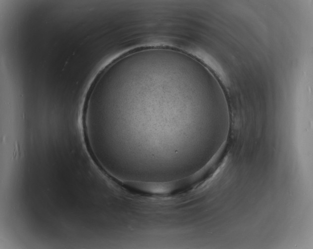 X0000102780943200808181147