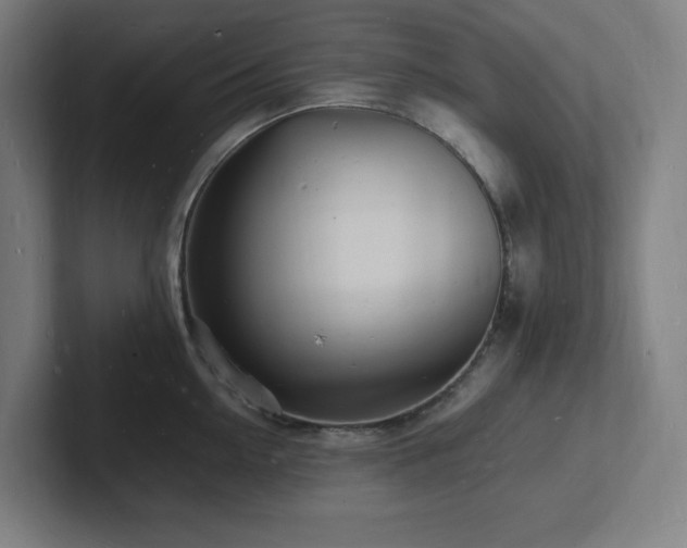 X0000102780954200808181147