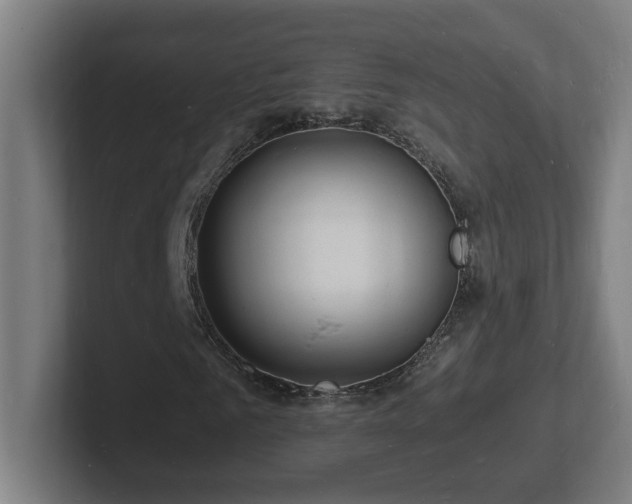 X0000102780961200808181146