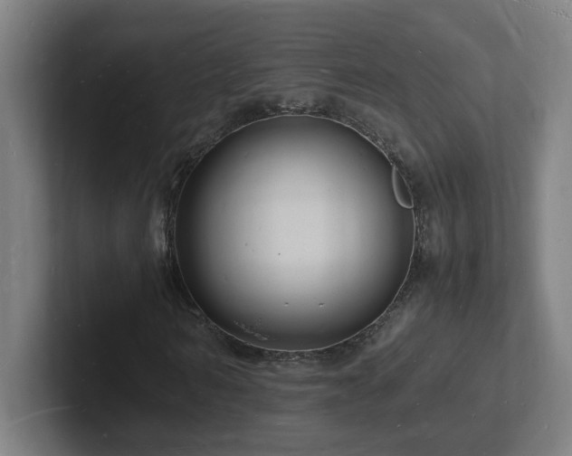 X0000102780962200808181146