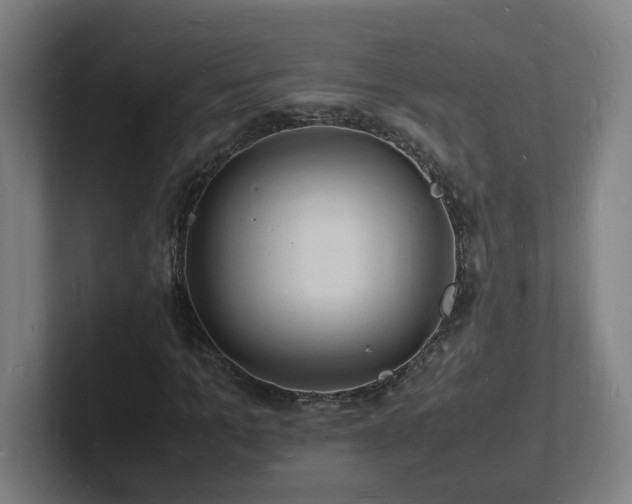 X0000102780965200808181146