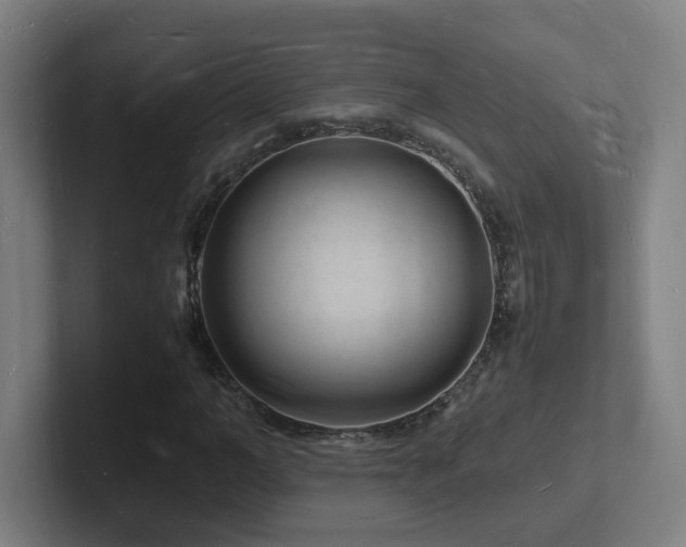 X0000102780966200808181146