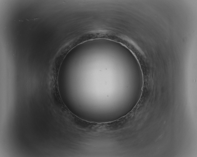 X0000102780967200808181146