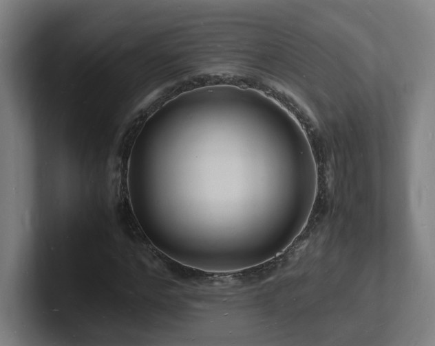 X0000102780968200808181146