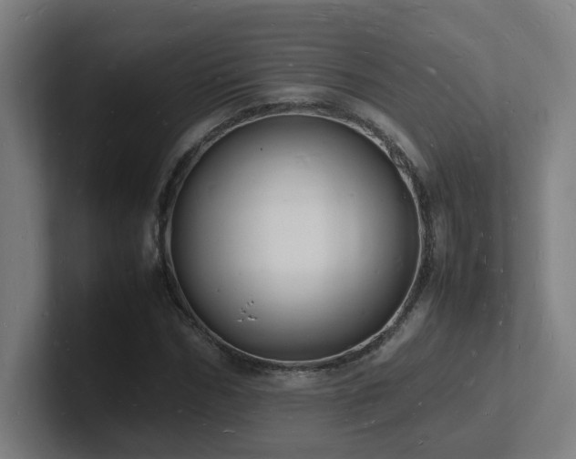 X0000102780970200808181146