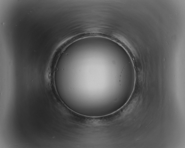 X0000102780971200808181146