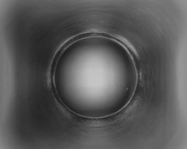 X0000102780972200808181146