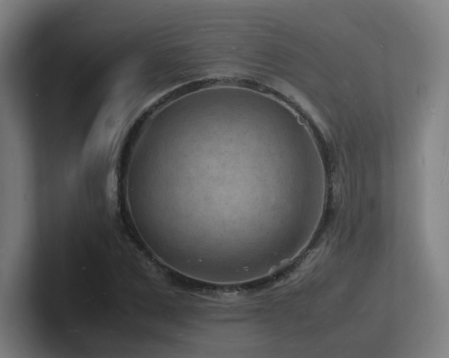 X0000102780975200808181146