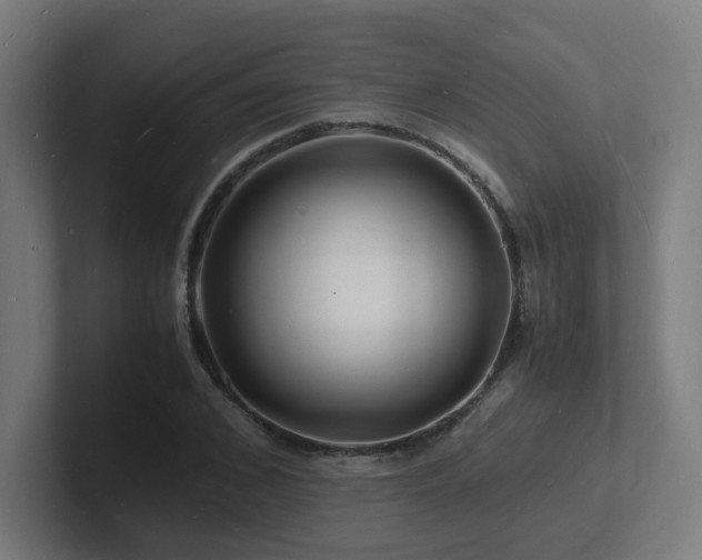 X0000102780976200808181146