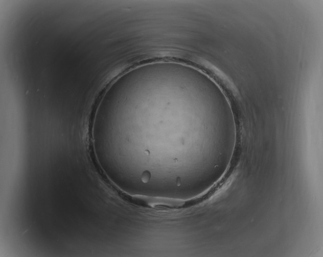 X0000102780977200808181146